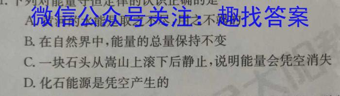 桂柳文化 2024届高考桂柳鸿图模拟金卷(三)l物理