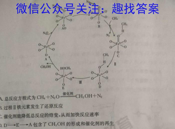 q河南省2023-2024学年度第一学期八年级期中测试卷化学