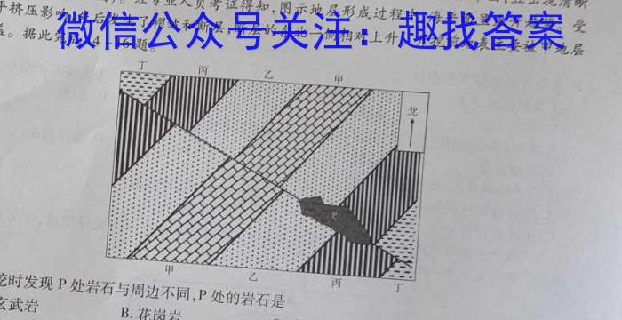 2024届红河州高中毕业生第三次复习统一检测&政治