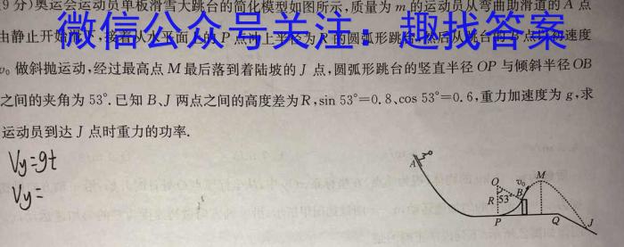 山东省泰安市肥城市2023-2024学年高一年级上学期期中联考物理`