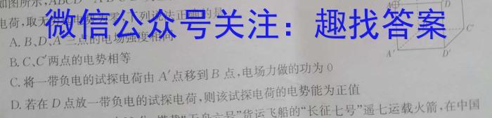 吉林省"通化优质高中联盟”2023~2024学年度高二上学期期中考试(24-103B)f物理