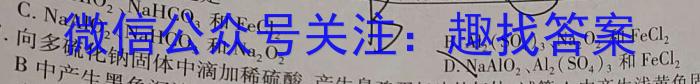 q江西省2024届九年级同步单元练习（二）化学