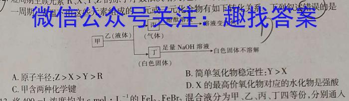 q安徽省包河区2023-2024学年第一学期八年级巩固性练习化学