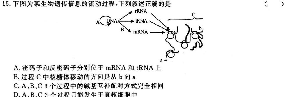 甘肃省2023-2024学年高二年级第一学期期中联考生物