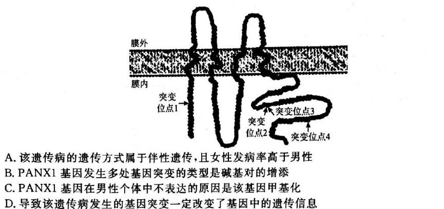 衡中同卷 2023-2024学年度高三一轮复习滚动卷(一)生物