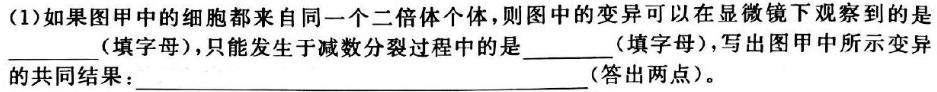 河北省2023-2024学年六校联盟高一年级期中联考（241258D）生物