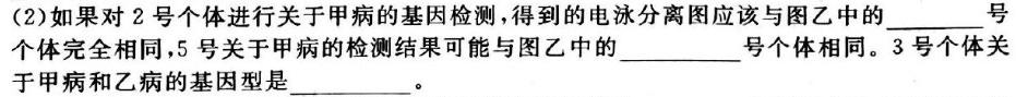 山东名校考试联盟 2023-2024学年高二年级上学期期中检测(2023.11)生物