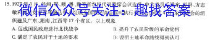 江西省2023一2024学年九年级高效课堂练习（二）历史