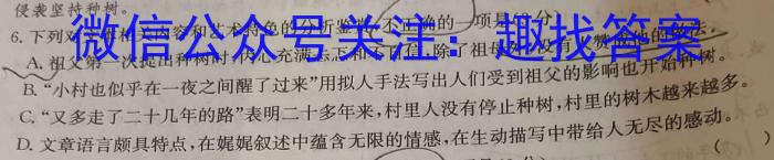 齐市普高联谊校2023-2024学年高一年级上学期期中考试（24013A）/语文