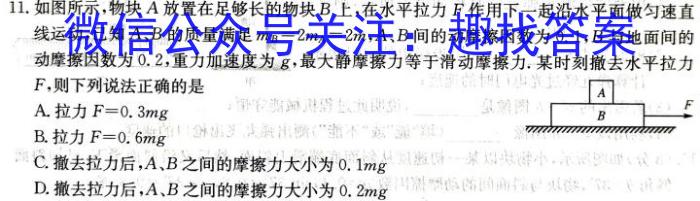 2024届广东省高三试题11月联考(24-142C)物理`