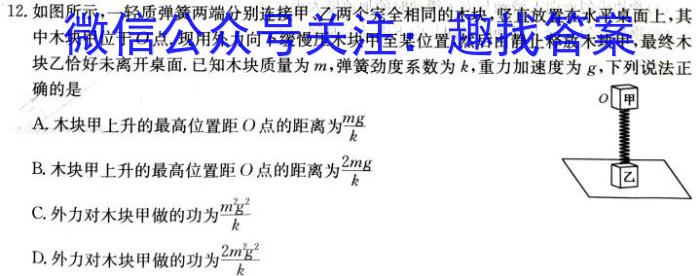 ［甘肃大联考］甘肃省2024届高三阶段检测10月联考物理`