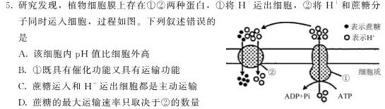 河北省高三年级2024届上学期质量检测二生物