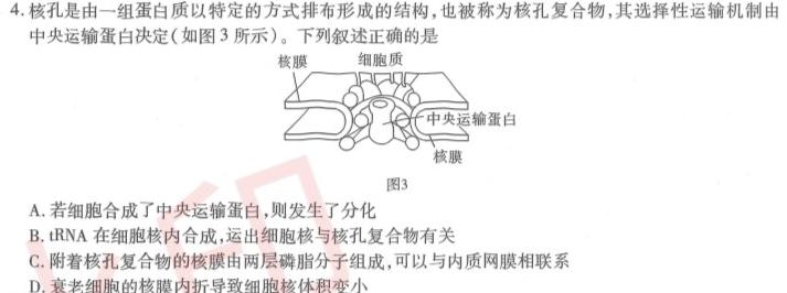 江西省瑞昌市2023-2024学年度上学期九年级期中考试试卷生物