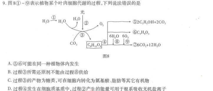 安徽省包河区2023-2024学年第一学期八年级巩固性练习生物