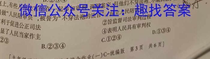安徽省2023-2024学年九年级上学期期末学情监测政治试卷d答案