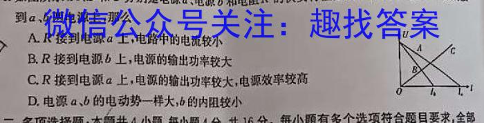 九师联盟·2024届高三10月质量检测巩固卷(新教材-LG）q物理