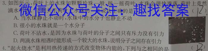 陕西省2023-2024学年度九年级第一学期阶段性学习效果评估(二)2q物理