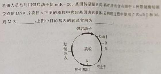 河北省2023-2024学年示范性高中高二年级期中质量检测联合测评生物