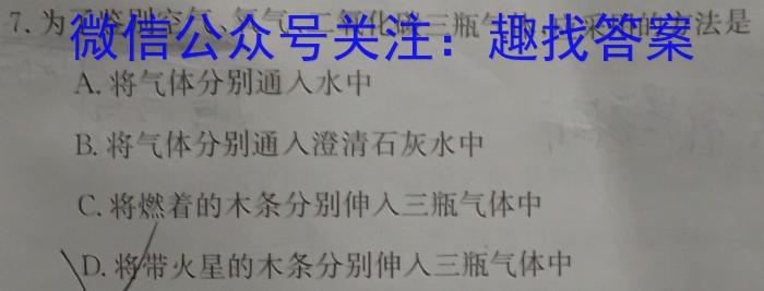 q学林教育 2023~2024学年度九年级第一学期调研检测化学