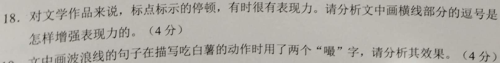 皖智教育·全程达标卷·安徽第一卷·2023-2024学年九年级全程达标卷期中调研卷语文试卷 答案
