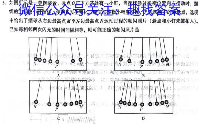 2024届单科模拟02l物理