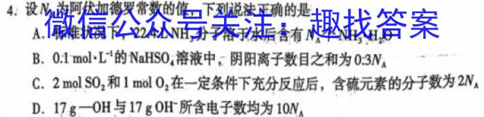 q河南省新高中创新联盟TOP二十名校高一年级11 月调研考试(241100D)化学