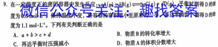 q陕西省彩虹初中2023-2024学年度第一学期九年级期中考试化学