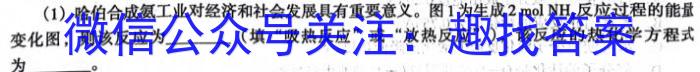 q江西省2024届高三赣州市十八县市区期中联考化学