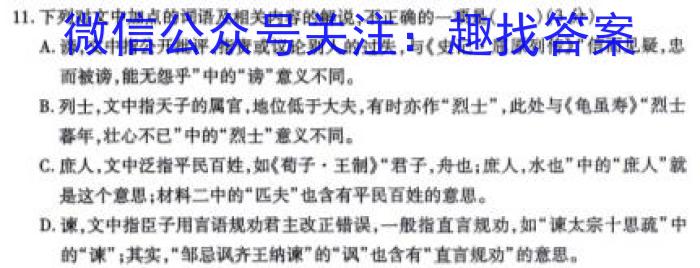 重庆市康德2024年普通高等学校招生全国统一考试11月调研测试卷语文