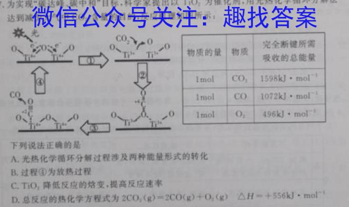 q2024届高三11月大联考（新高考卷）化学