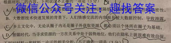 江西省2024届九年级初中目标考点测评（十三）语文