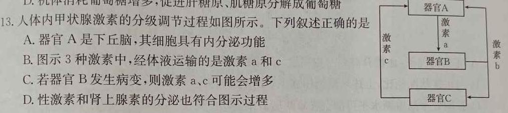 山西省2023-2024学年第一学期九年级期中双减教学成果展示生物