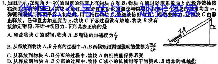 河南省新乡市2023-2024学年八年级第一学期学习评价（2）q物理