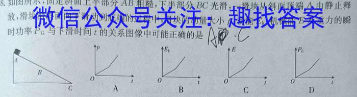 江西省2024届九年级初中目标考点测评（十）q物理