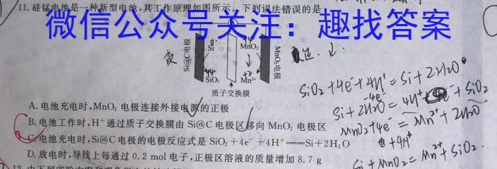 【精品】金考卷 百校联盟(新高考卷)2024年普通高等学校招生全国统一考试 领航卷(九)化学