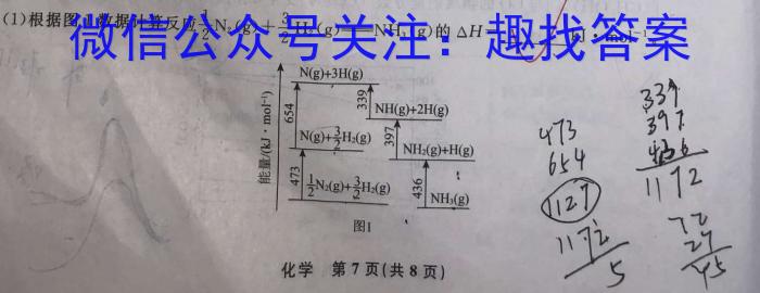 3文海大联考2024届高三期中考试化学试题