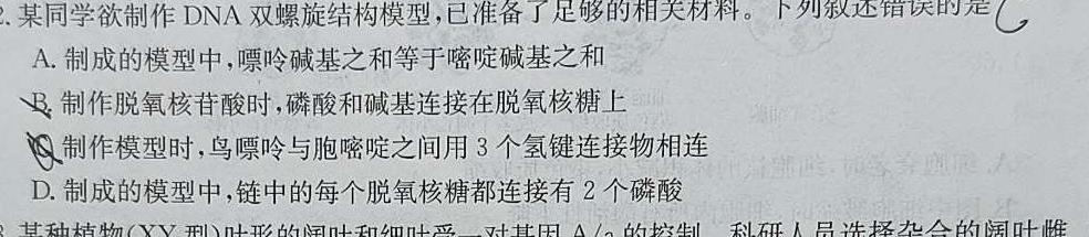 2023-2024学年陕西省高二考试11月联考(※)生物