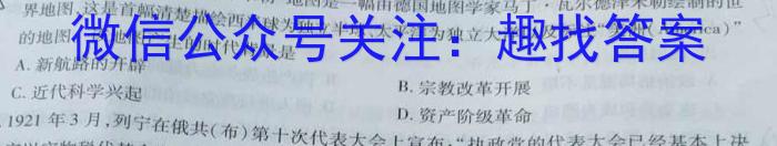 智慧上进·2024届高三总复习双向达标月考调研卷（二）历史