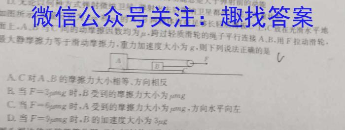 江西省2024届九年级初中目标考点测评（十四）物理`