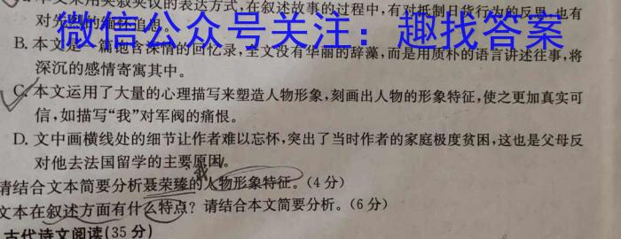 江西省2023一2024学年九年级高效课堂练习（二）/语文