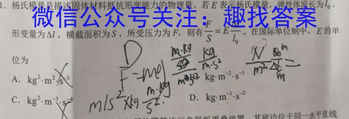 云南师大附中(云南卷)2024届高考适应性月考卷(黑白黑白白黑黑黑)l物理