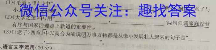 广东省2024届湛江市普通高中毕业班调研测试(24-105C)语文