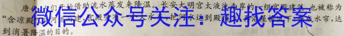 安徽省2023~2024学年度届九年级阶段诊断 R-PGZX F-AH(二)2/语文