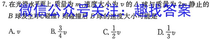 2024届北海市高三第一次模拟考试(24108C)l物理
