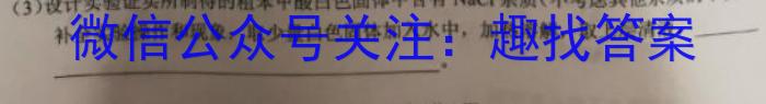 f江西省瑞昌市2023-2024学年度上学期九年级期中考试试卷化学