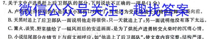 河北省石家庄市栾城区2023-2024学年度第一学期七年级期中教学质量检测语文