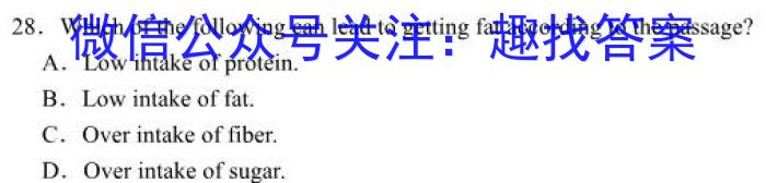 陕西省2023~2024学年度第一学期九年级阶段调研检测英语