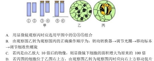 重庆市2023-2024学年高一年级11月期中考试联考生物