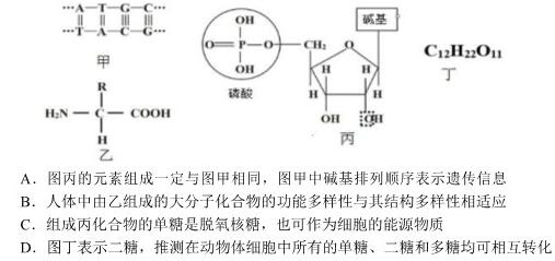 郴州市2024届高三第一次教学质量监测生物