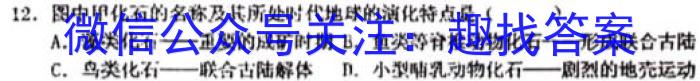 吉林省2023-2024学年度高二年级上学期期中考试&政治